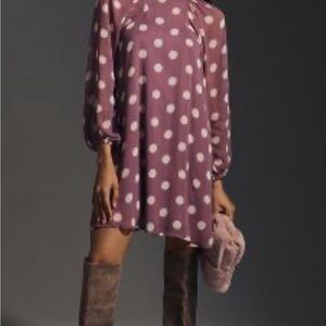 Maeve Long Sleeve Sheer Mini Dress